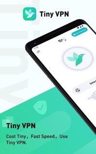 TinyVPN 4.1. Скриншот 1