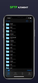 Terminal & SSH. Скриншот 5