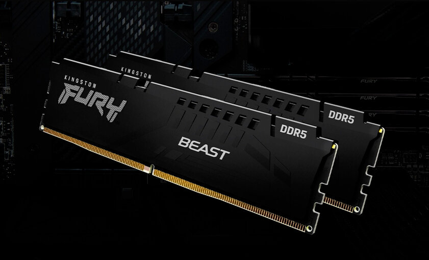 Впервые тестирую память DDR5 — переплата? Обзор Kingston Fury Beast DDR5-5200 32 ГБ