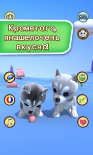 Говорящая собака хаски 2.74. Скриншот 2