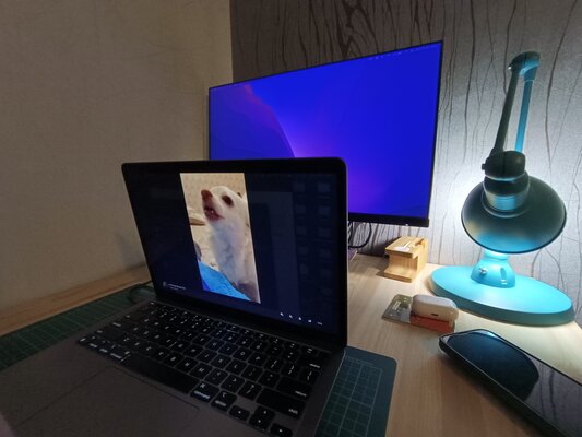 Хорошо всё, на что другие производители не обращают внимание. Обзор Vivo V23 — Камера. 13