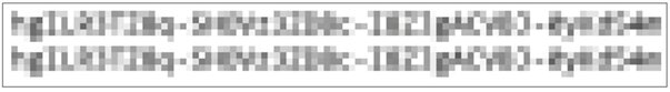 Скрывать текст пикселизацией теперь небезопасно: на GitHub появился расшифровщик