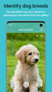 Dog Scanner – породы собак 19.0.0. Скриншот 1