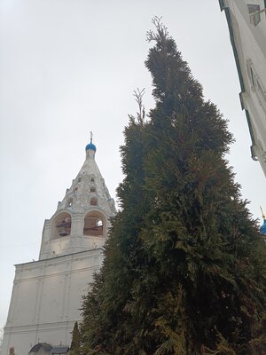 Шаг назад, два шага вперёд. Обзор Poco M4 Pro