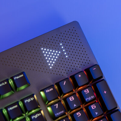 Можно самому заменять свитчи: и Cherry, и ROG! Тестирую ASUS ROG Strix Flare II Animate — Внешний вид и удобство. 5