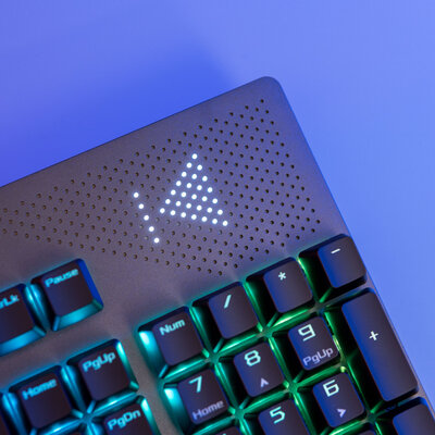 Можно самому заменять свитчи: и Cherry, и ROG! Тестирую ASUS ROG Strix Flare II Animate — Внешний вид и удобство. 6