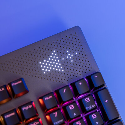 Можно самому заменять свитчи: и Cherry, и ROG! Тестирую ASUS ROG Strix Flare II Animate — Внешний вид и удобство. 7