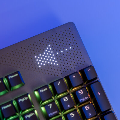 Можно самому заменять свитчи: и Cherry, и ROG! Тестирую ASUS ROG Strix Flare II Animate — Внешний вид и удобство. 8