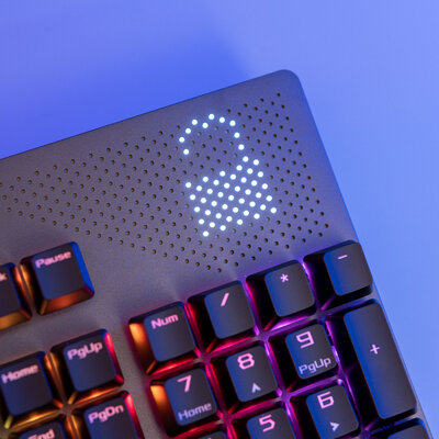 Можно самому заменять свитчи: и Cherry, и ROG! Тестирую ASUS ROG Strix Flare II Animate — Внешний вид и удобство. 9