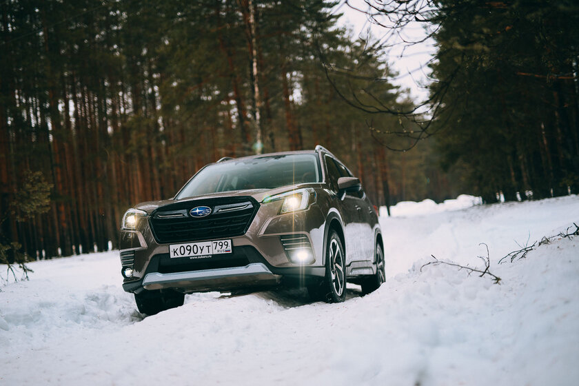 Редкость: и в лес не страшно, и по городу комфортно. Тест-драйв Subaru Forester (2022)