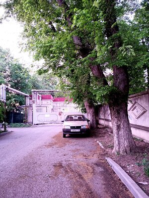 Российский смартфон с защитой от прослушки и шпионажа. Обзор AYYA T1 — Фотосъёмка — это не по адресу. 4