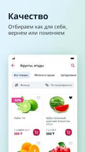 MagnumGO 4.2.13. Скриншот 3