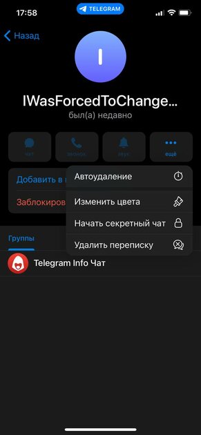 В Telegram для iPhone встроили водяной знак. Его видно только на скриншотах
