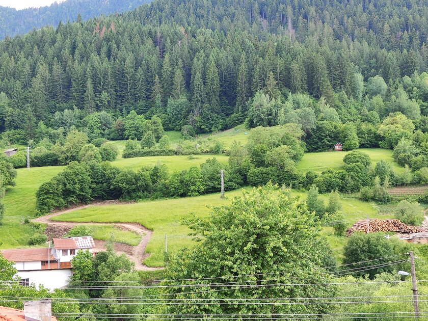Упрощённый флагман Xiaomi, если не хотите переплачивать. Обзор Xiaomi 12 Lite — Качество фотографий. 27