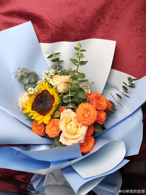 Как снимает камера на 200 Мп в смартфоне: появился первый пример