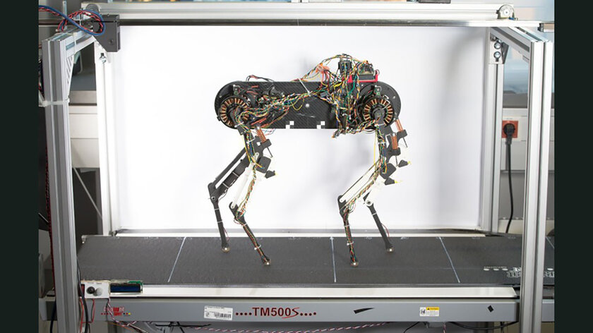 Нейросеть за час научила робота-пса ходить. Получилось почти как у Boston Dynamics