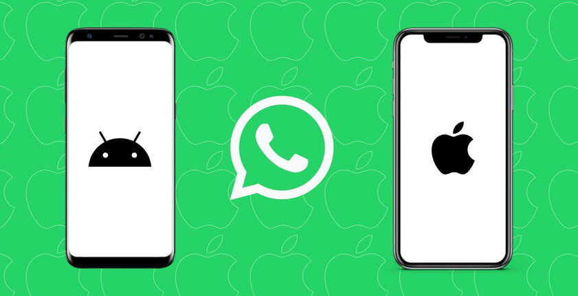 Как перенести чаты WhatsApp* с Android на iPhone: не всё так просто