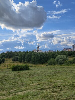 Топ телефонов с хорошей камерой в 2023: любой конкурирует с фотоаппаратами — Huawei P50 — 43 990 рублей. 2