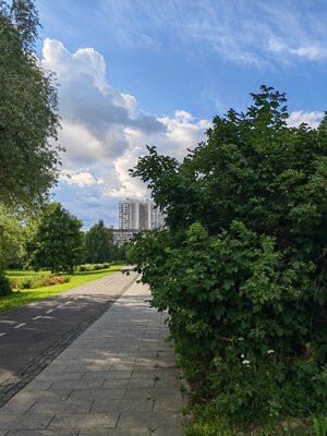 Топ телефонов с хорошей камерой в 2023: любой конкурирует с фотоаппаратами — Huawei P50 — 43 990 рублей. 5