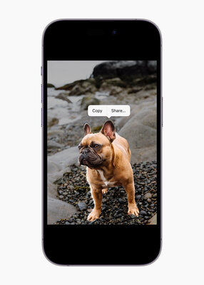 iOS 16 уже можно установить на эти iPhone. 12 главных нововведений
