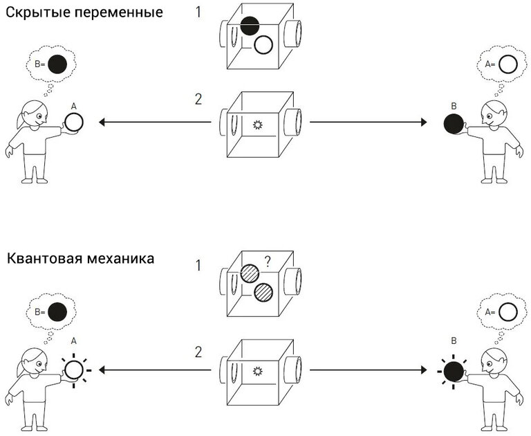 Кот Шрёдингера существует: за что дали Нобелевскую премию по физике в 2022 году