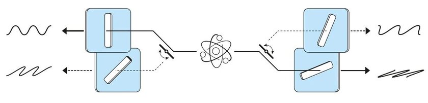 Кот Шрёдингера существует: за что дали Нобелевскую премию по физике в 2022 году