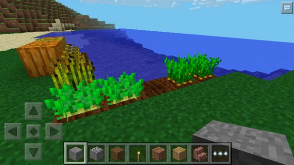 Обновление MCPE 0.8.0 не за горами!