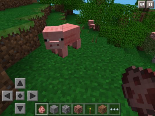 Обновление MCPE 0.8.0 не за горами!