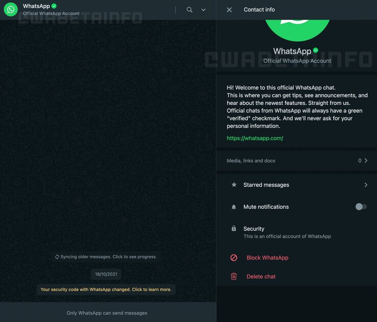 В WhatsApp* для Windows появятся официальный чат, обмен контактами и вкладка с вызовами
