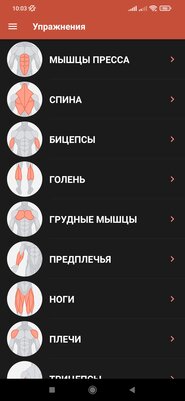 Полгода тестировал 40 приложений для тренировок дома. Нашёл только 6 адекватных, но они того стоят