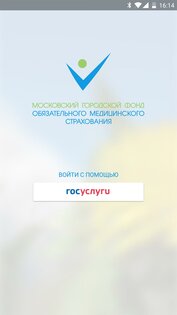 МГФОМС 1.1.10. Скриншот 1