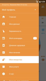 МГФОМС 1.1.12. Скриншот 2