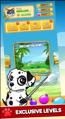 Cute Wars — Cat VS Dogs