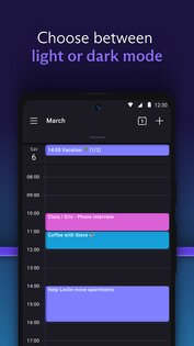 Proton Calendar 2.23.8. Скриншот 4