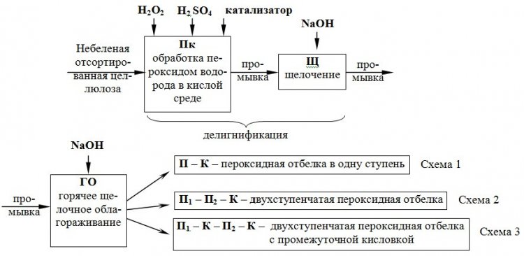 Космический интернет и прорывы в медицине: главные достижения российской науки в январе