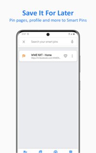 Simple Social Browser 13.4.9. Скриншот 3