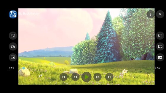 Castify 12.254. Скриншот 24