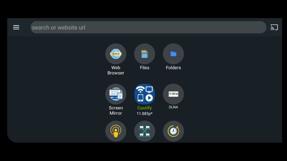 Castify 12.254. Скриншот 25
