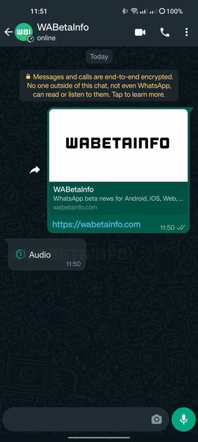 В WhatsApp* появятся исчезающие аудиосообщения