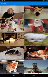 Tenor GIF Keyboard 2.1.76. Скриншот 5