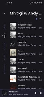 Muza – бесплатный стриминговый сервис 0.6.0. Скриншот 5