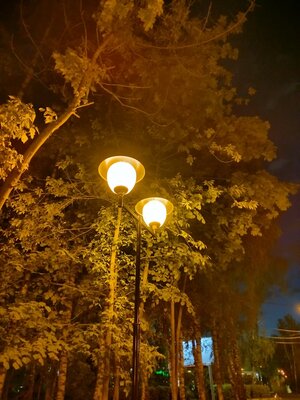 Один из немногих смартфонов, которым хочется пользоваться без чехла. Обзор Huawei nova 11i — Камера. 34