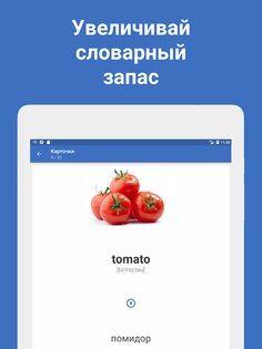 Words – учи иностранные языки 5.11. Скриншот 13