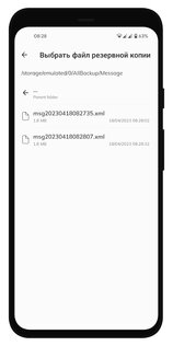 Резервное копирование и восстановление всех данных 5.9.40. Скриншот 5
