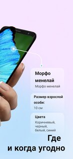 Picture Insect – распознавание насекомых 2.8.33. Скриншот 2