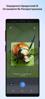 Picture Insect – распознавание насекомых 2.8.33. Скриншот 4