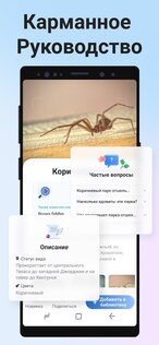 Picture Insect – распознавание насекомых 2.8.33. Скриншот 5