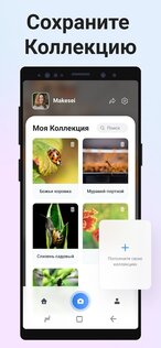 Picture Insect – распознавание насекомых 2.8.33. Скриншот 6