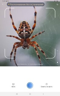Picture Insect – распознавание насекомых 2.8.33. Скриншот 7