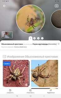 Picture Insect – распознавание насекомых 2.8.33. Скриншот 8